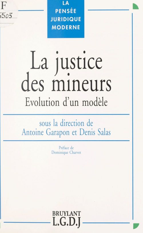 Couverture ebook de La justice des mineurs : évolution d'un modèle, de Garapon-Salas