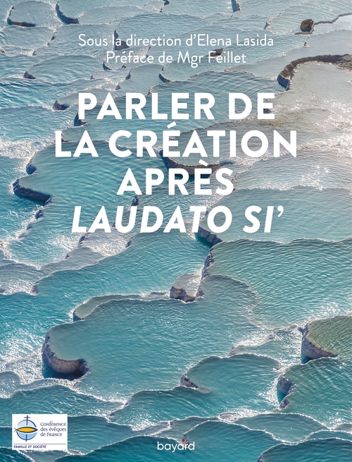 ebook cover of Parler de la Création après Laudato si, by Elena Lasida