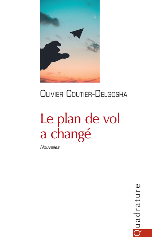 ebook cover of Le plan de vol a changé, by Olivier Coutier-Delgosha