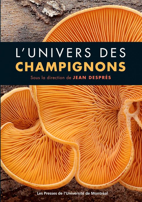 Couverture ebook de L'univers des champignons, de Collectif, Despres
