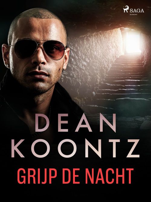 ebook cover of Grijp de nacht, by Dean Koontz