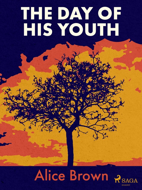 Couverture ebook de The Day of His Youth, de Alice Brown