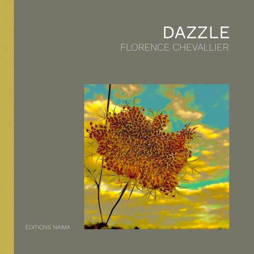 ebook cover of Dazzle, by Florence Chevallier