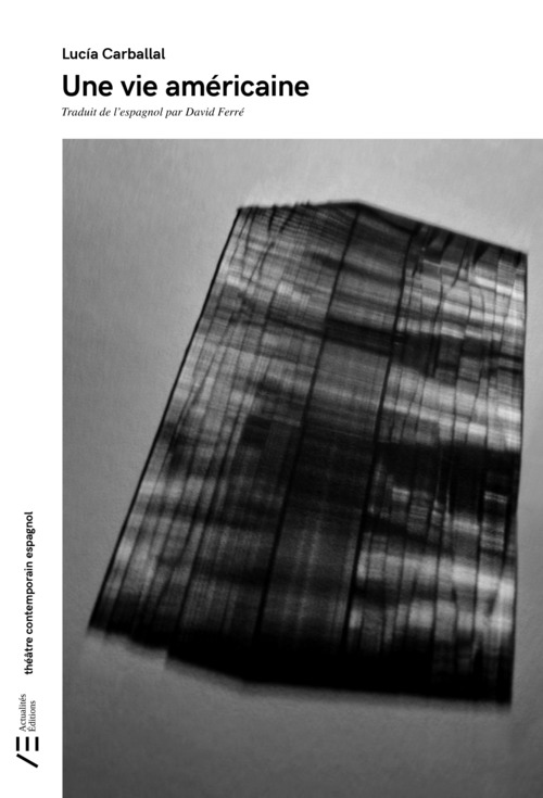 ebook cover of Une vie américaine, by Lucia Carballal