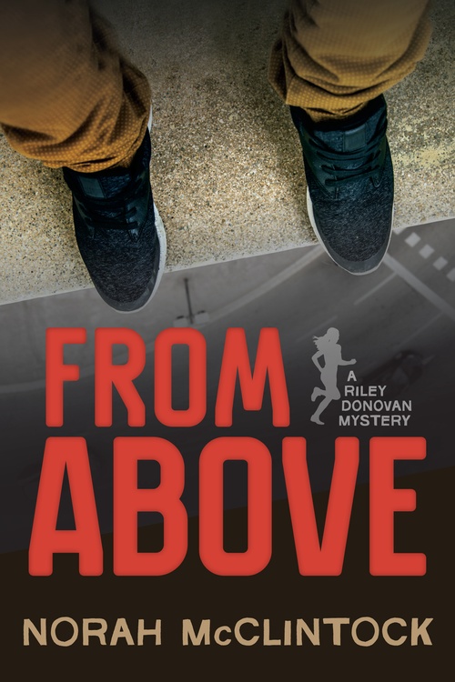 ebook cover of From Above, by Norah Mcclintock