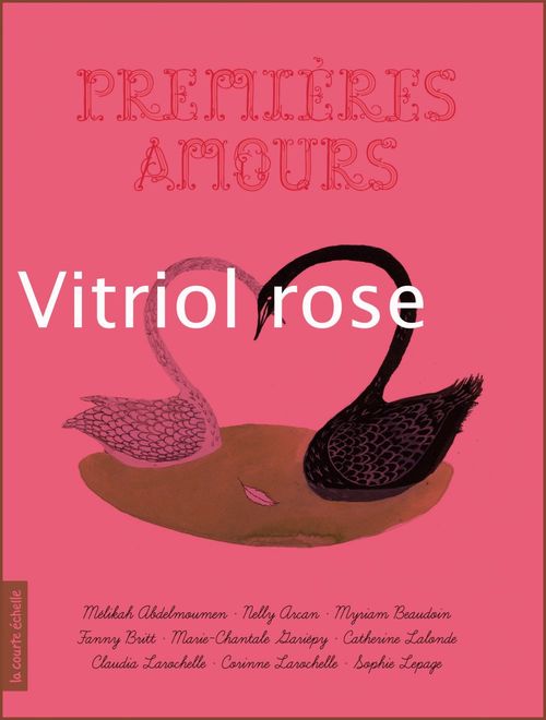 Couverture ebook de Vitriol rose, de Marie-chantale Gariépy, Julie Morstad