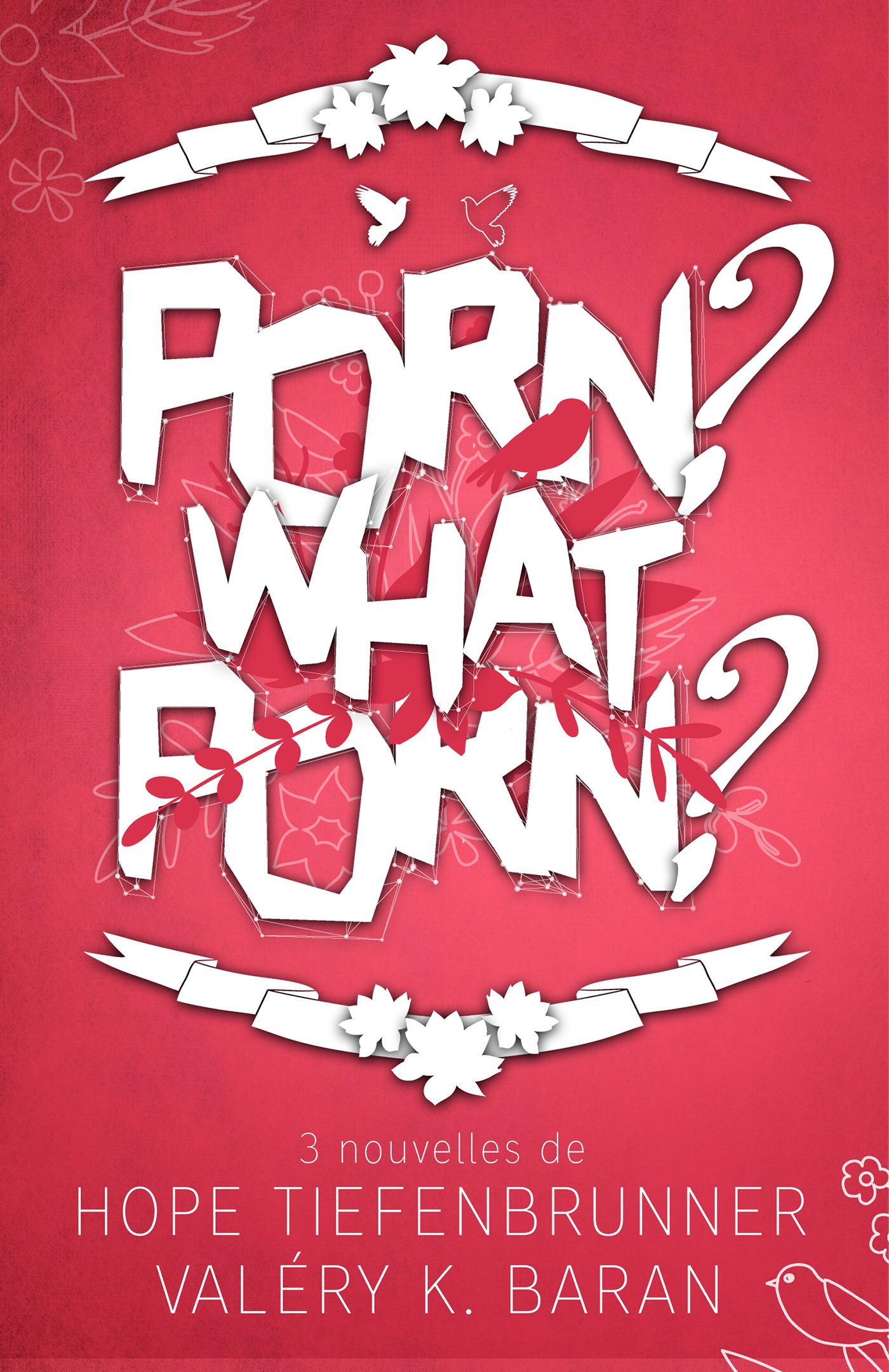 ebook cover of Porn ? What porn ?, by Valéry K. Baran, Hope Tiefenbrunner