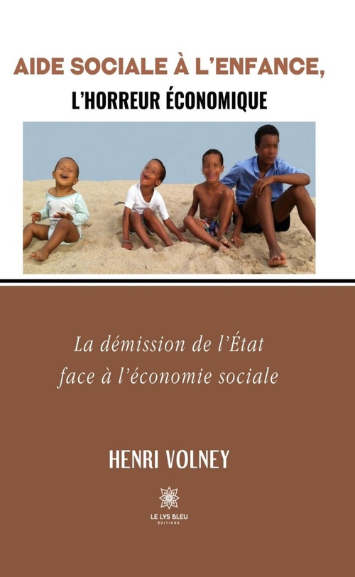 Couverture ebook de Aide Sociale à l'Enfance, l'horreur économique, de Henri Volney
