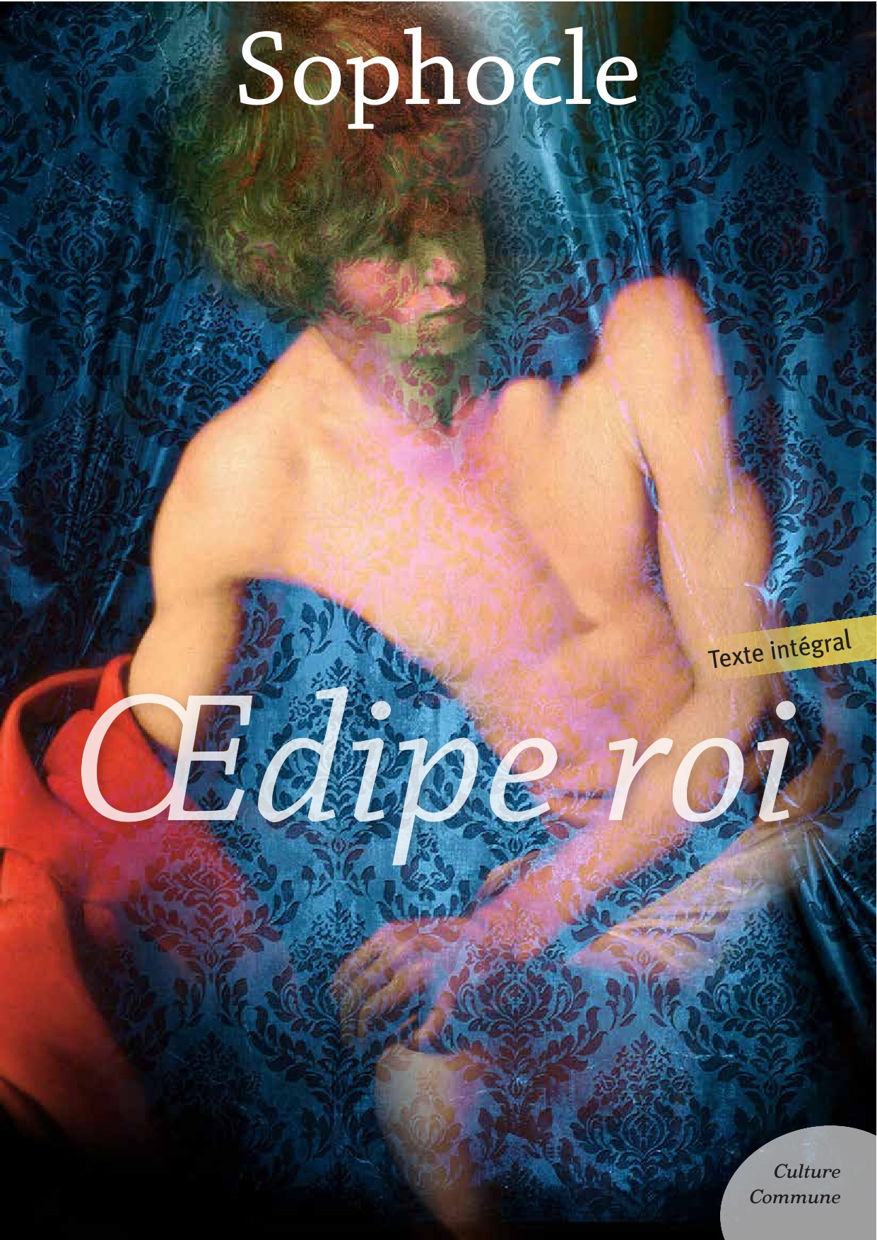 ebook cover of OEdipe roi, by Sophocle