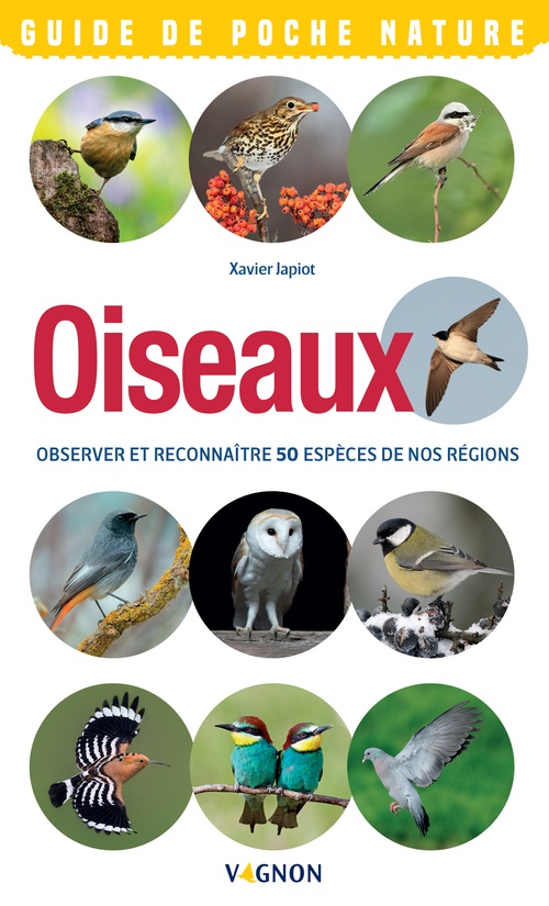 ebook cover of Oiseaux - Observer et reconnaître 50 espèces de nos régions, by Xavier Japiot