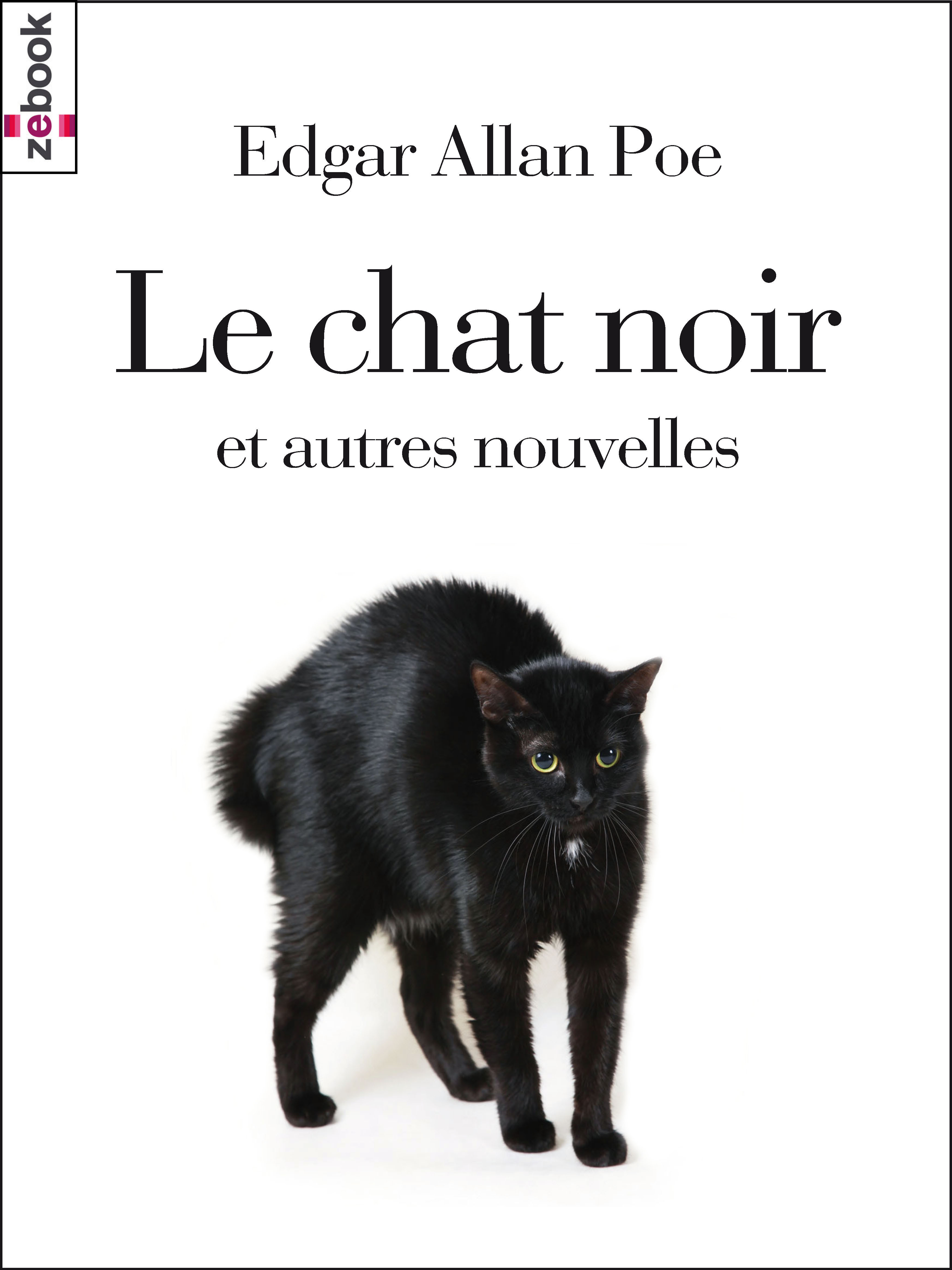 ebook cover of Le chat noir, by Edgar Allan Poe