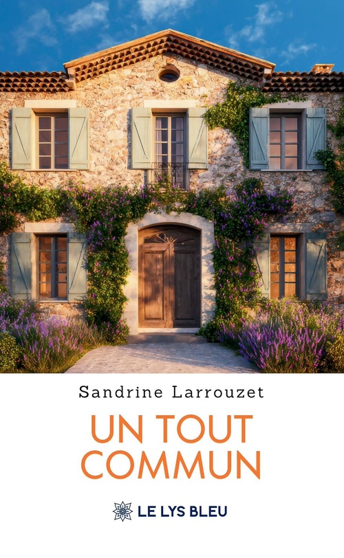 ebook cover of Un tout commun, by Sandrine Larrouzet