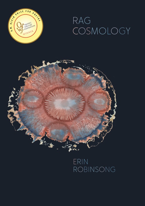 ebook cover of Rag Cosmology, by Erin Robinsong