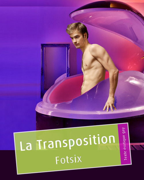 ebook cover of La Transposition, by Christophe Fotsix