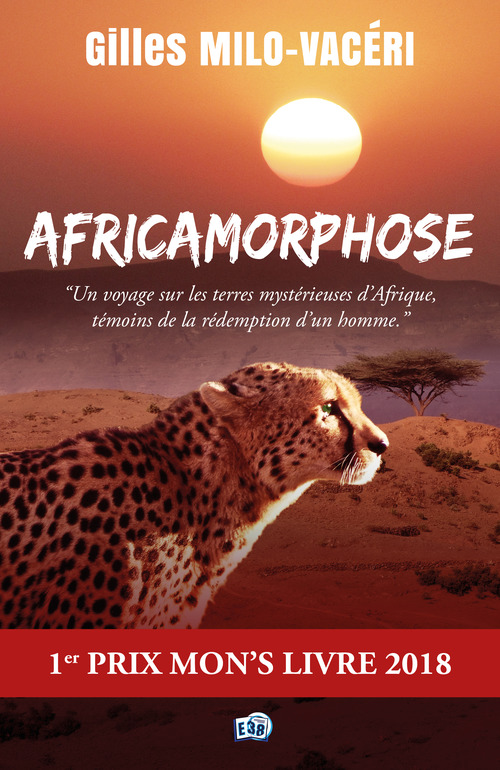 ebook cover of Africamorphose, by Gilles Milo-Vacéri