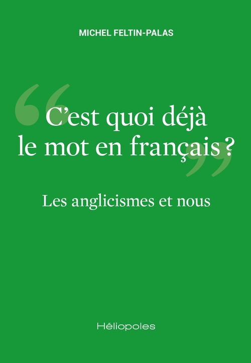 ebook cover of Les anglicismes et nous, by Michel Feltin-Palas