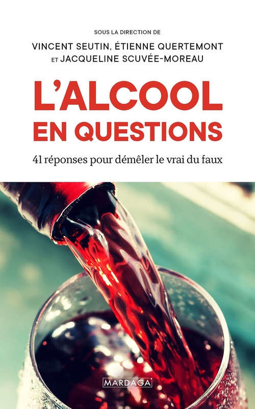 ebook cover of L'alcool en questions, by Collectif, Vincent Seutin, Etienne Quertemont, Jacqueline Scuvée-moreau