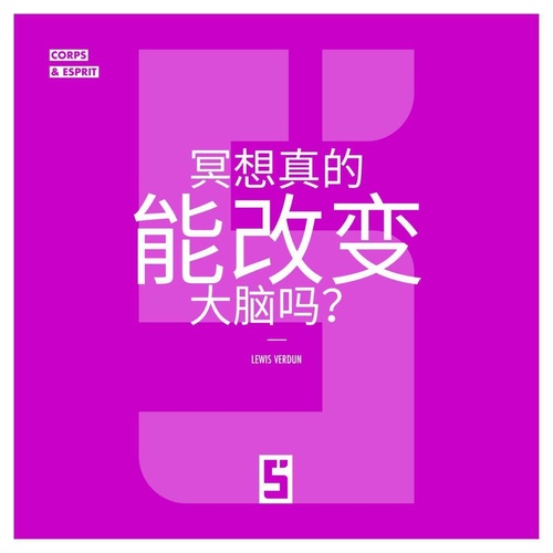 Couverture ebook de La méditation peut-elle vraiment changer le cerveau ? (version chinois mandarin), de Lewis Verdun