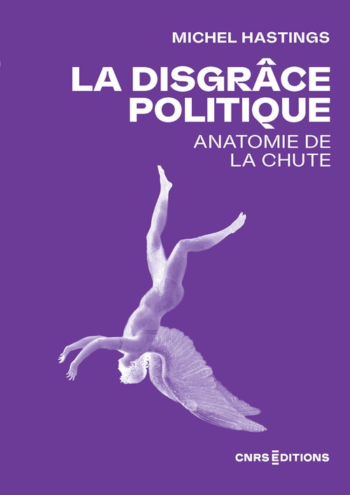 ebook cover of La disgrâce politique - Anatomie de la chute, by Michel Hastings