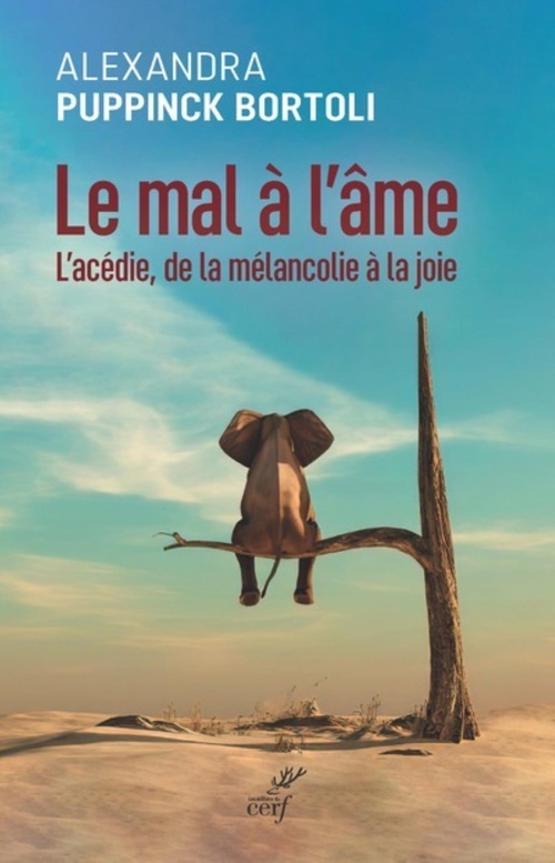 Couverture ebook de LE MAL A L'AME - L'ACEDIE, DE LA MELANCOLIE A LA JOIE, de Alexandra Puppink bortoli