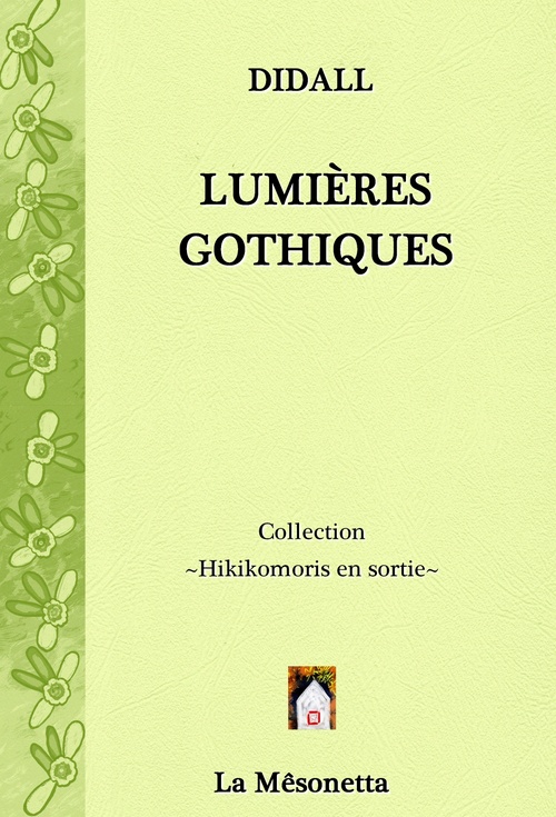 Couverture ebook de Lumières gothiques, de Didall