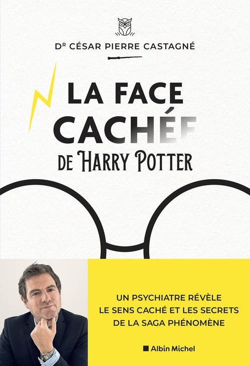 ebook cover of La Face cachée d'Harry Potter, by César Pierre Castagné