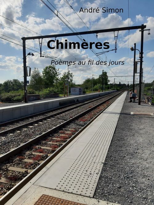 Couverture ebook de Chimères, de Andre Simon