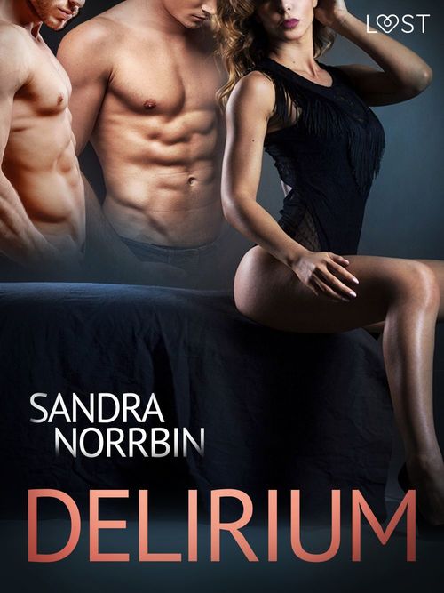 ebook cover of Delirium - Erotic Short Story, by Sandra Norrbin