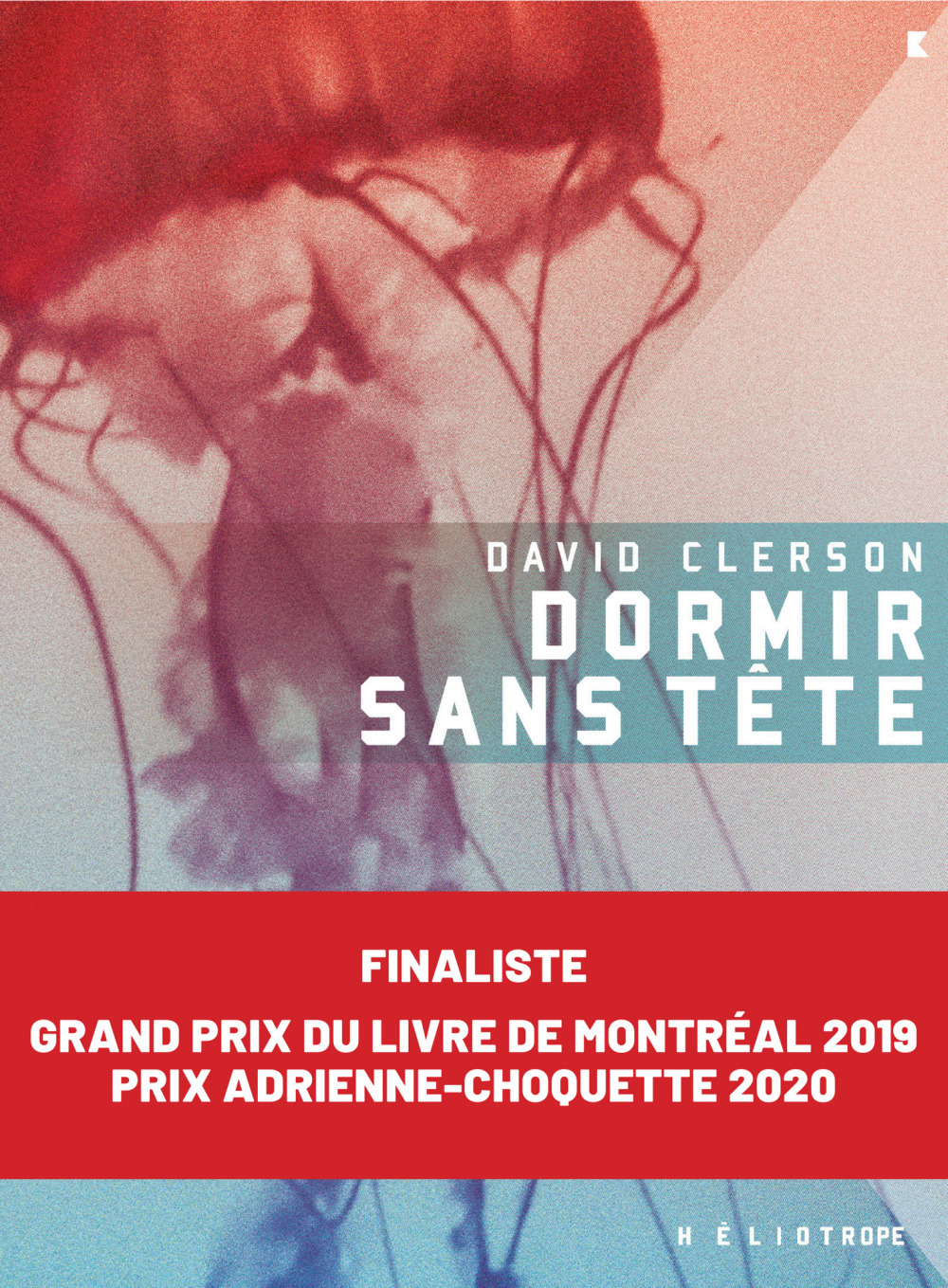 Couverture ebook de Dormir sans tête, de Clerson David