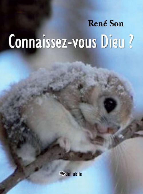ebook cover of Connaissez-vous Dieu ?, by René Son