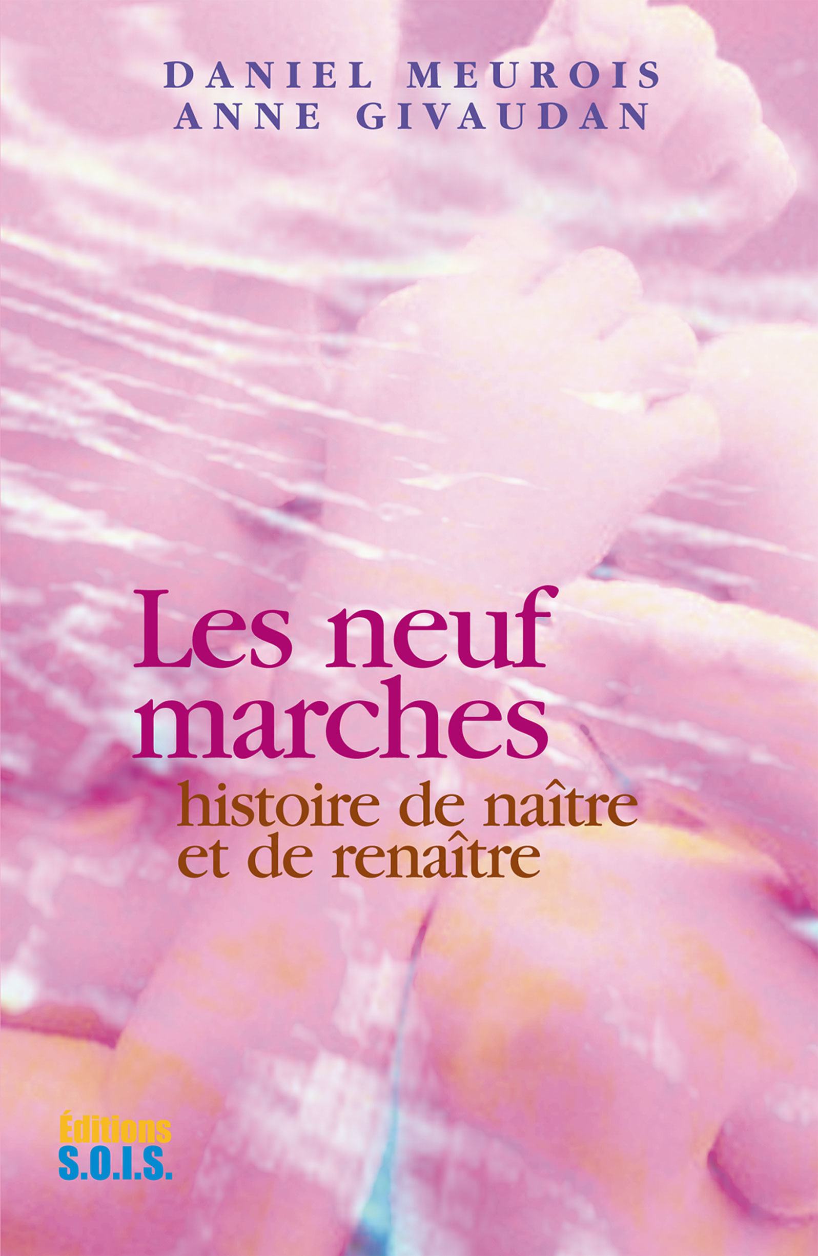 ebook cover of Les neuf marches, by Givaudan/Meurois