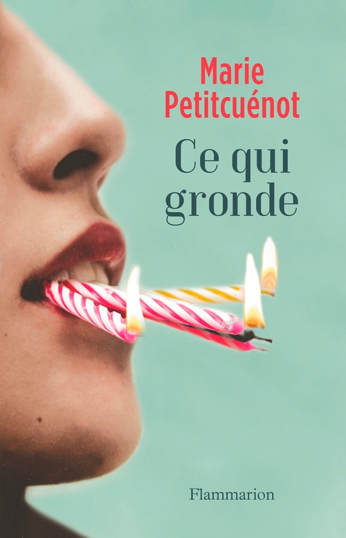 Couverture ebook de Ce qui gronde, de Marie Petitcuenot