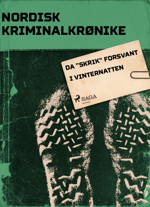 Couverture ebook de Da "Skrik" forsvant i vinternatten, de - Diverse