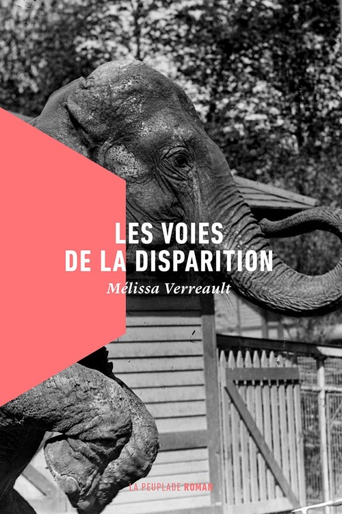 Couverture ebook de Les voies de la disparition, de Mélissa Verreault