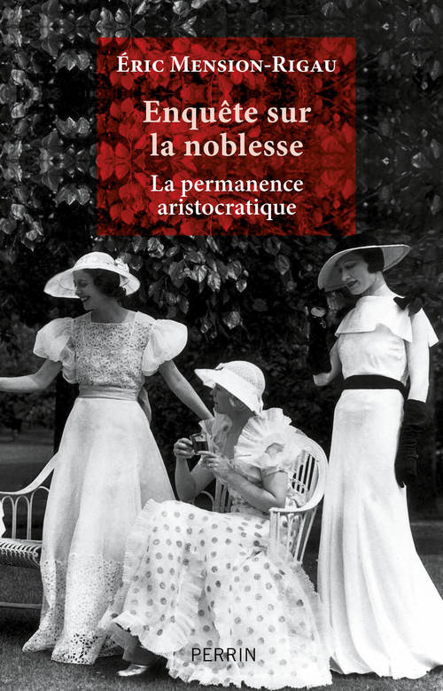 ebook cover of Enquête sur la noblesse, by Éric Mension-Rigau