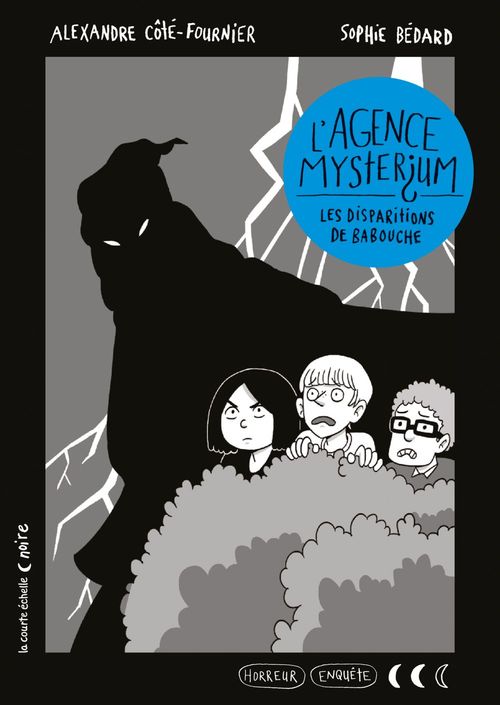 ebook cover of Les disparitions de Babouche, by Sophie Bédard, Alexandre Côté-Fournier