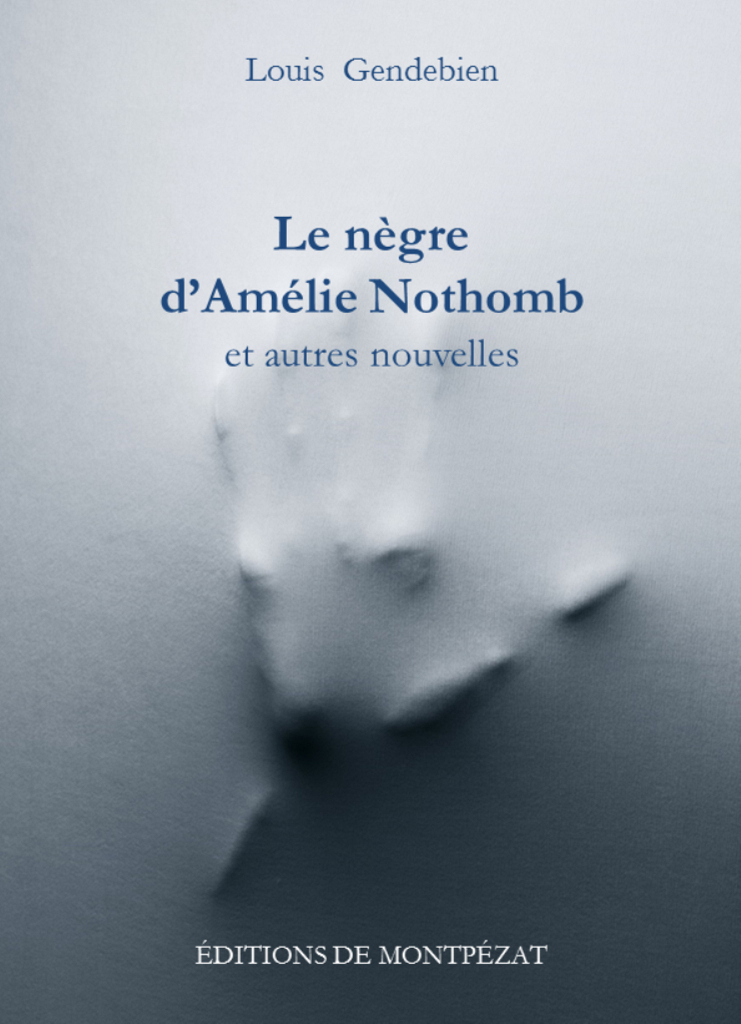 Couverture ebook de Le nègre d'Amélie Nothomb et autres nouvelles, de Louis Gendebien
