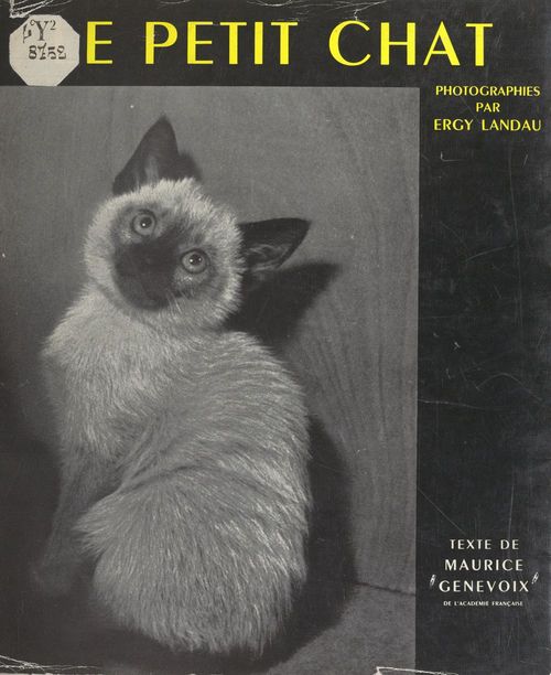 ebook cover of Le petit chat, by Maurice Genevoix