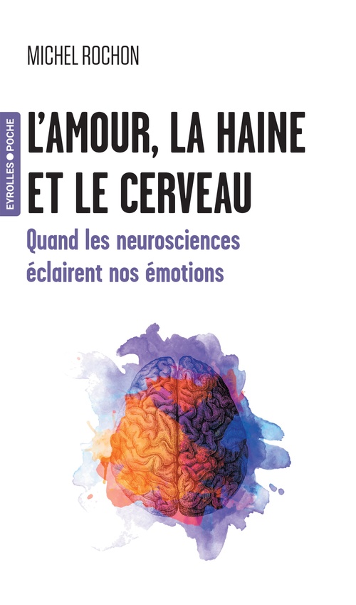 ebook cover of L'amour, la haine et le cerveau, by Michel Rochon