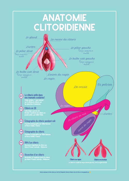 Couverture ebook de Planche anatomique du clitoris, de Julia Pietri