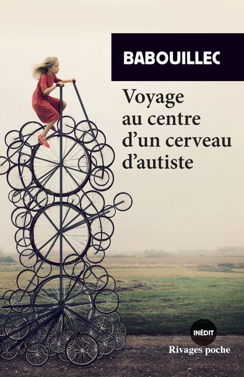 ebook cover of Voyage au centre d'un cerveau d'autiste, by Babouillec
