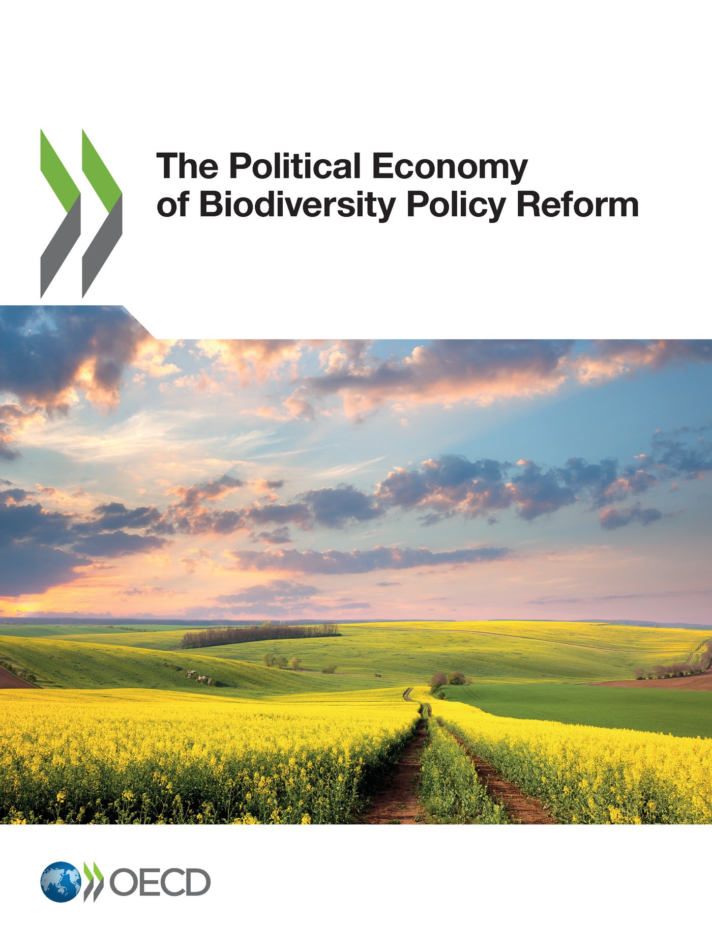 Couverture ebook de The Political Economy of Biodiversity Policy Reform, de Collectif