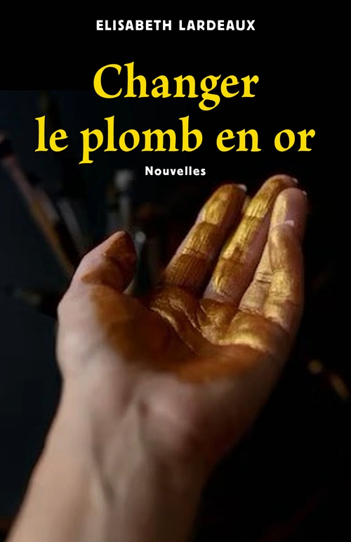 ebook cover of Changer le plomb en or, by Elisabeth Lardeaux