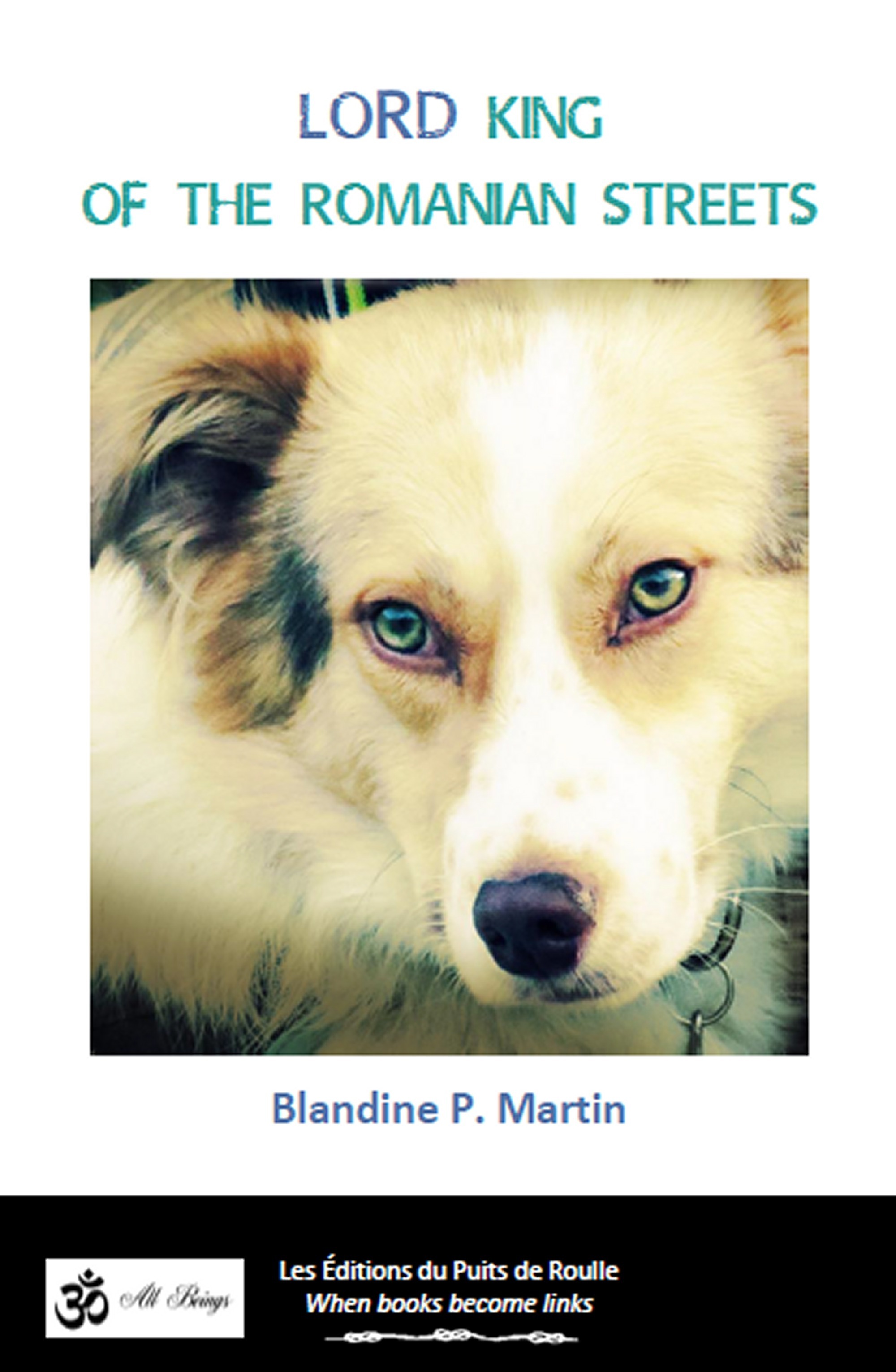 Couverture ebook de Lord, king of the Romanian streets, de Blandine P. Martin