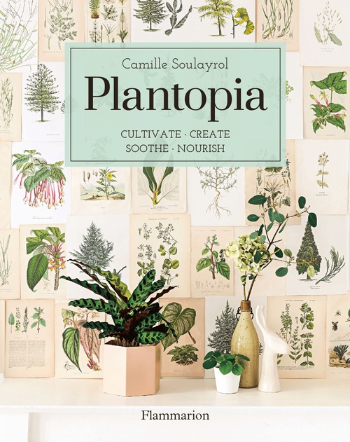 ebook cover of Plantopia, by Camille Soulayrol