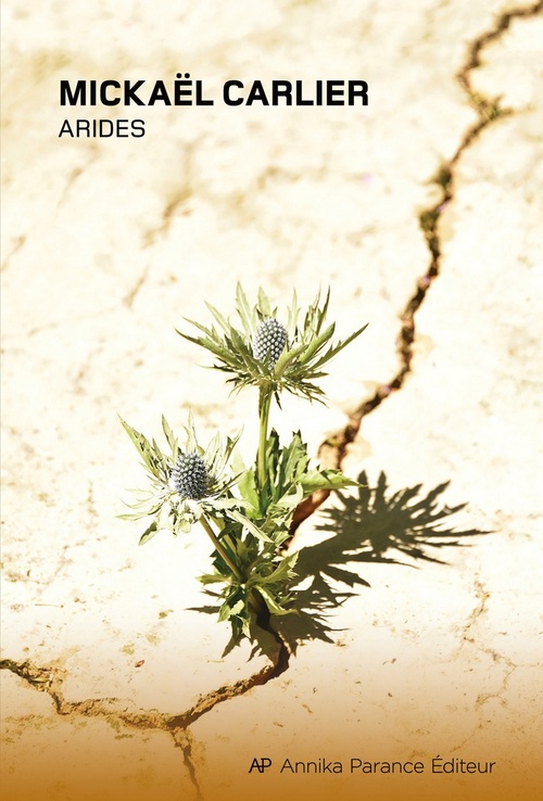 ebook cover of Arides, by Mickaël Carlier