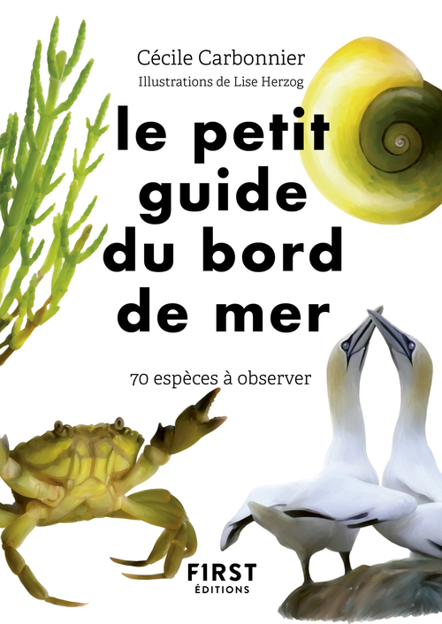 ebook cover of Le Petit Guide du bord de mer, by Cécile Carbonnier