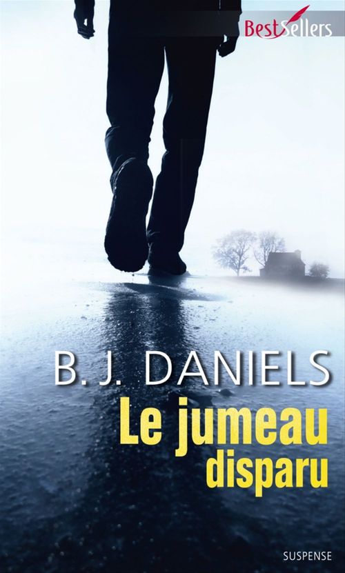 ebook cover of Le jumeau disparu, by B. J. Daniels