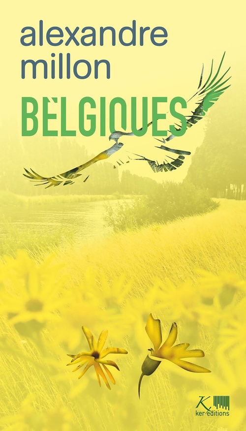 ebook cover of Belgiques, by Alexandre Millon