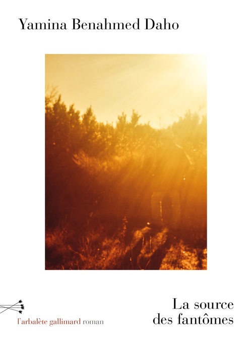 ebook cover of La source des fantômes, by Yamina Benahmed Daho